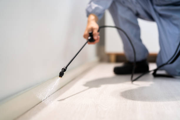 Licensed Termite Control service in Forsyth County County, GA - Nex Pest Control