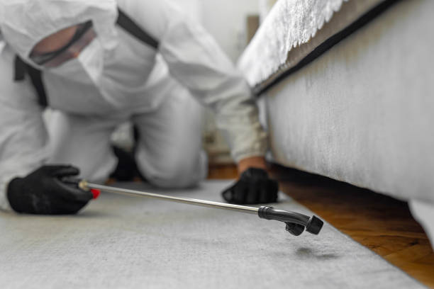 Professional Termite Control technician working in Forsyth County County, GA